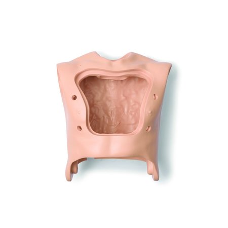 LAERDAL TORSO; AMH-SIMPAD-STD 300-01250